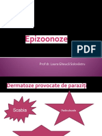 Curs 6 Parazitoze.pdf