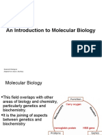 An Introduction To Molecular Biology: Savannah Mwesigwa Adapted From Aala A. Abulfaraj