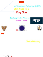 Canine Demodecosis and Babesiosis - Bambang Pontjo-INDONESIA