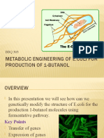 Biofuels and How To Make Them.