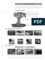 Ficha EM3 Plantas e Animais