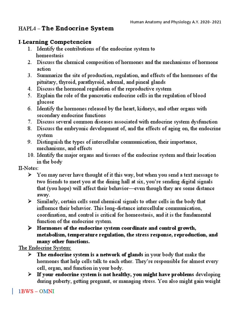 Overview of the Endocrine System | PDF | Luteinizing Hormone ...