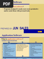 Jun Sales: Application Software