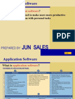 Jun Sales: Application Software