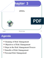 Chapter 3 Introduction to Risk Management