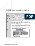 Basic Concepts in Auditing