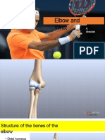 3997 - Elbow and Wrist-Dikonversi