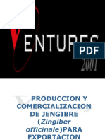 Jengibre Producción-Comercialización (Zingiber Offici 3DA