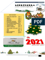 PERIOìDICO Nº 2 Navidad 2020 PDF