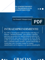 Intraemprendimiento y Profesionales Independientes