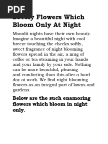 Flowers Bloom at Night