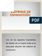 Tipos de Conducción en Frutales