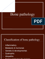 Sheet 4 (Bone Pathology)