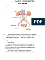 Anatomi Dan Fisiologi Sistem Pekemihan