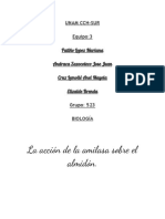 Práctica 2 Acción de La Amilasa Sobre El Almidón