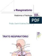 Sistema Respiratório