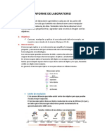 Practica 1 - Microscopio