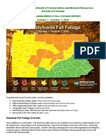 FoliageRpt - 10 1 20 1