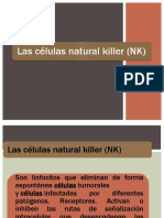 Células NK: funciones y mecanismos de activación