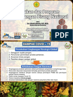 KEBIJAKAN PENGEMBANGAN PISANG