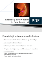 Embriologi Sistem Muskuloskeletal