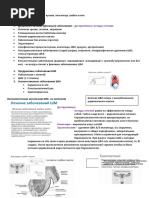 AiG_5_kurs_Den_7__8_ShM_vulva.docx