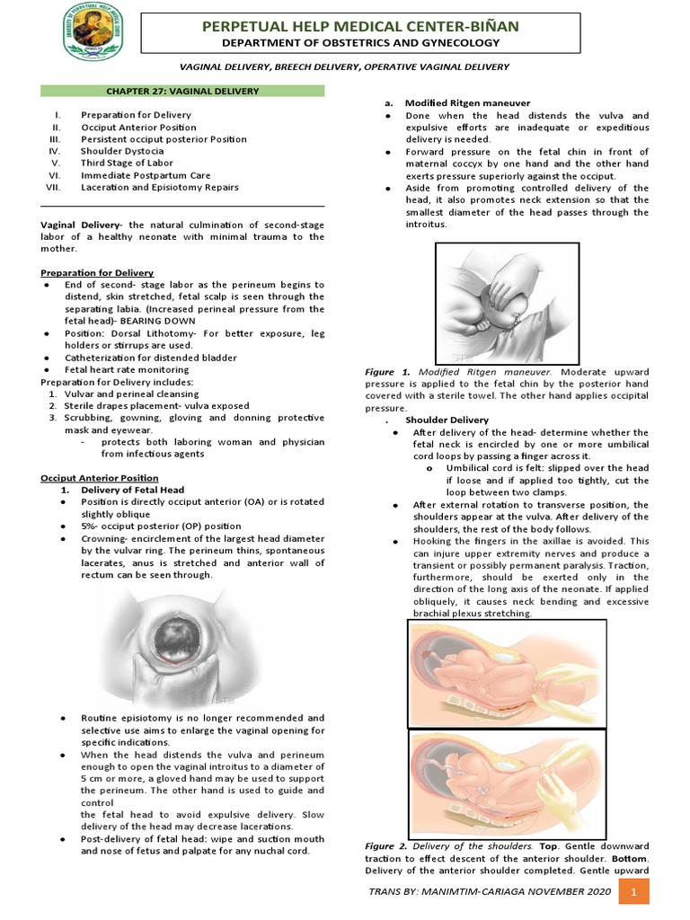 Modified Ritgen Maneuver in Delivery | PDF | Childbirth | Vagina