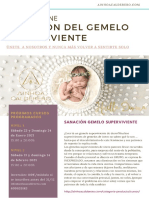 sanacion memoria gemelar.pdf