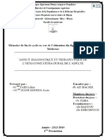 Mémoire Final PDF