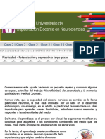 Apunte - A - Plasticidad - Potenciacion - y - Depresion - A - Largo - Plazo - Atencion - CLASE 3