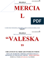 Comercial Valeska