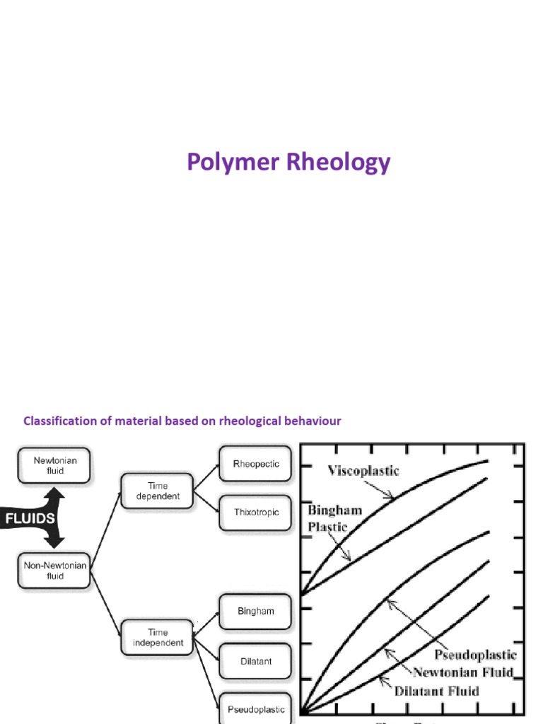 Polymer Rheology and Degradation Insights | PDF | Science & Mathematics