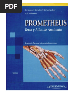 Prometheus - Atlas de Anatomía | PDF