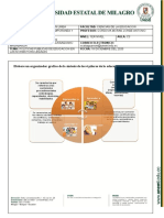 Elabore Un Organizador Grafico de La Síntesis de Los 4 Pilares de La Educación Según La UNESCO