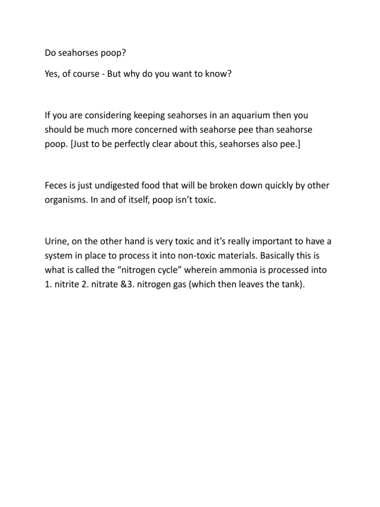 Do Seahorses Poop PDF