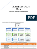 Ficha Ambiental y Pma