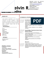 Hoja de Vida - Kelvin 2 PDF