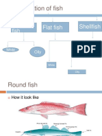 Classification of Fish Types and Cuts