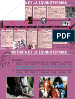 Historia Equinoterapia