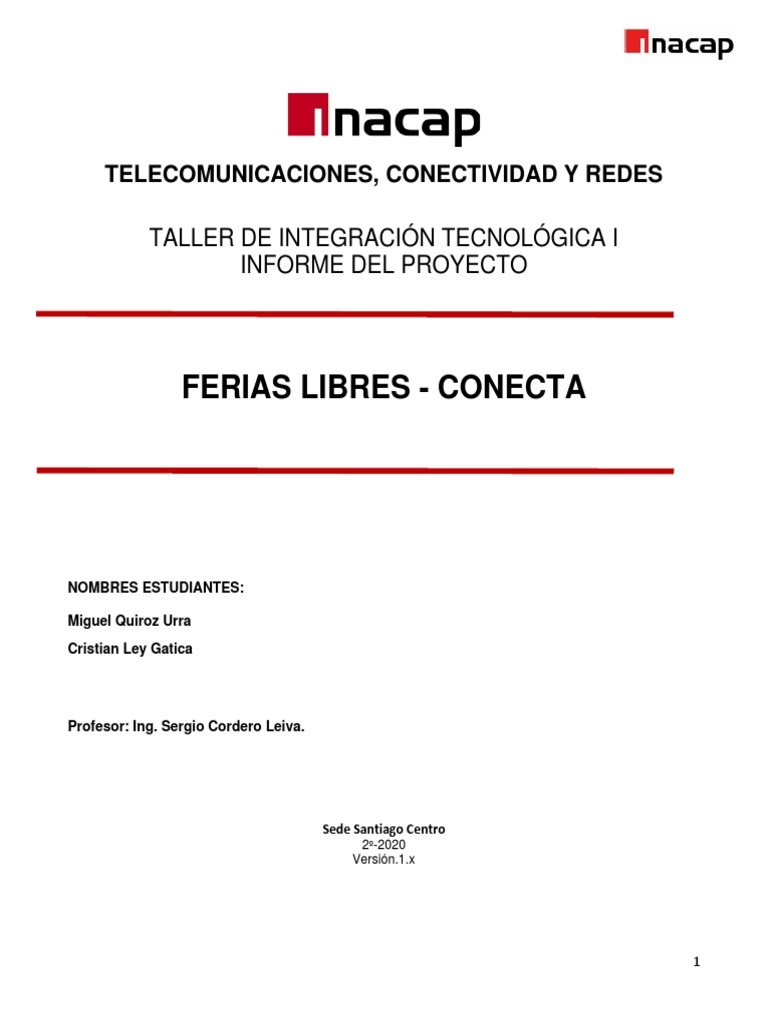 INFORME - Ferias Libre | PDF