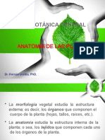 Anatomía de Las Plantas. Clase 2