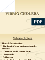 Vibrio Cholera