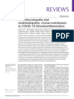 Reviews: Thrombocytopathy and Endotheliopathy: Crucial Contributors To COVID-19 Thromboinflammation