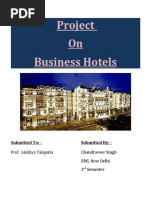 Project On Business Hotels: Submitted To: - Submitted By