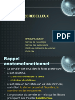 9- LE SYNDROME cerebelleux.pdf