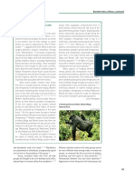 Gorilla 10 PDF