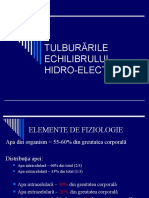 2.-Tulb.-Echilib-Hidro-electrolitic.ppt