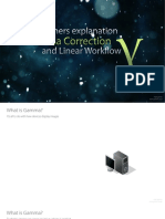 The_Beginners_Explanation_of_Gamma_Correction_and_Linear_Workflow.pdf