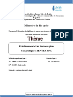 Etablissement D'un Business Plan PDF