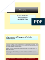 4 Phylogeny PDF